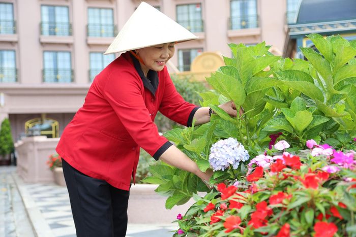 Các đơn vị, doanh nghiệp cùng tham gia trồng, chăm sóc hoa, cây xanh, giữ gìn vệ sinh môi trường tạo cảnh quan xanh - sạch - đẹp