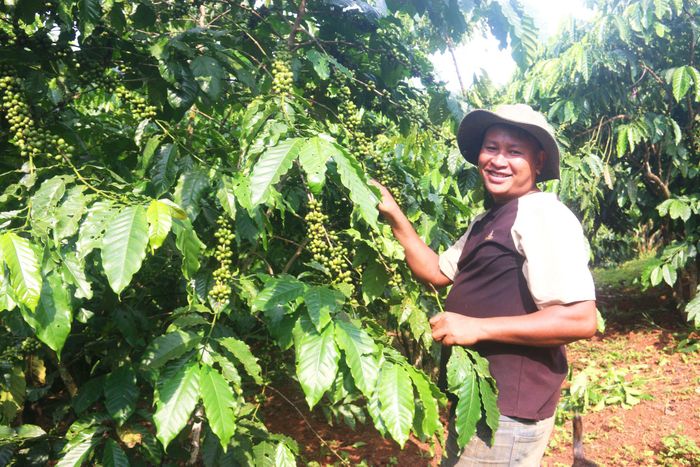 Người dân trong xã luôn chú trọng áp dụng khoa học kỹ thuật vào sản xuất để nâng cao năng suất cây trồng