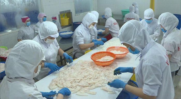 Chế biến thủy sản xuất khẩu ở phường Phước Hội, Lâm Đồng