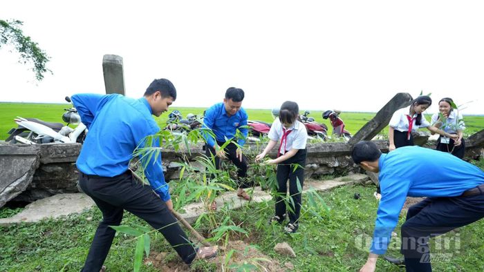 Đoàn viên, thanh niên hỗ trợ người dân trồng tre chống bão, lũ - Ảnh: P.P