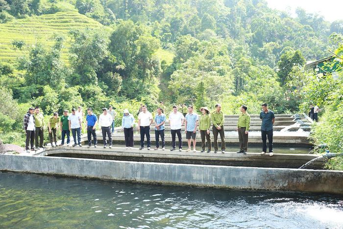 Các đại biểu tham quan mô hình nuôi cá tầm tại xã Cao Bồ.