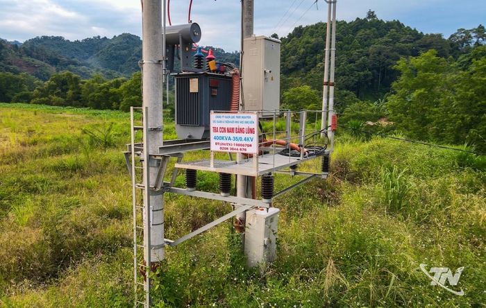 Cỏ mọc cao phủ kín nhiều khu vực trong Cụm công nghiệp Nam Bằng Lũng.