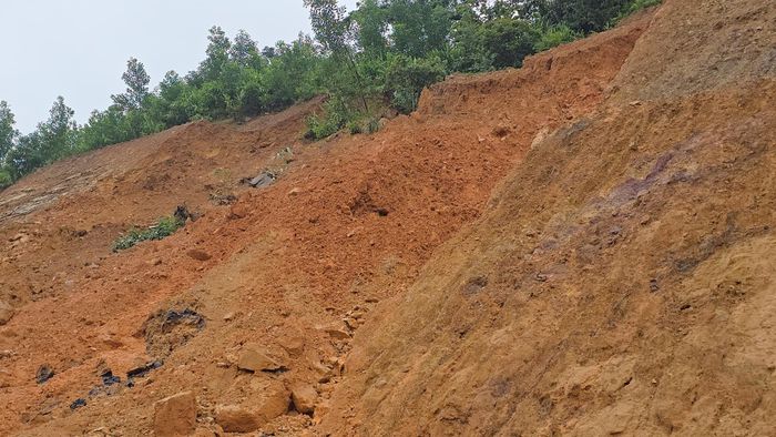 Theo Ban QLDA Đầu tư xây dựng xã Quảng Ninh, dự án vẫn trong thời hạn bảo hành, Ban sẽ phối hợp với các đơn vị liên quan và UBND xã Trường Sơn khảo sát thực tế, đánh giá để xử lý, khắc phục các vị trí sạt lở, hư hỏng do đợt mưa lớn vừa qua. Xã Trường Sơn cũng kiến nghị tỉnh bố trí nguồn vốn để sớm triển khai giai đoạn 2 nhằm cứng hóa mặt đường và hoàn thiện các hạng mục.