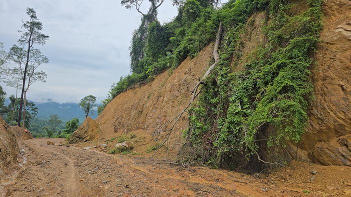 Đây cũng là đoạn thuộc tuyến đường huyết mạch nối đường Hồ Chí Minh nhánh Đông đoạn qua xã Trường Xuân, huyện Quảng Ninh cũ (hiện nay là xã Trường Ninh) với đường Hồ Chí Minh nhánh Tây đến trung tâm xã Trường Sơn.