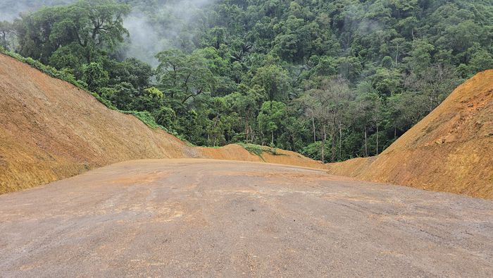 Ông Hoàng Mạnh Hà, Chủ tịch UBND xã Trường Sơn cho biết, tuyến đường nối Trường Ninh với xã Trường Sơn đưa vào sử dụng giai đoạn 1 đã bước đầu phát huy hiệu quả kết nối giao thông, giúp người dân xã “miền ngược” Trường Sơn về đường Hồ Chí Minh nhánh Đông, rút ngắn hơn 30km so với di chuyển đường vòng qua QL9E, QL9B về “miền xuôi”; hoặc phải đi thuyền qua sông.