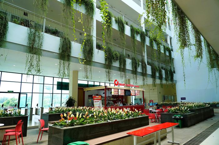 Căng tin trường xanh, sạch, đẹp, tạo không gian thoáng mát, thuận tiện cho sinh viên nghỉ ngơi và ăn uống sau các tiết học.