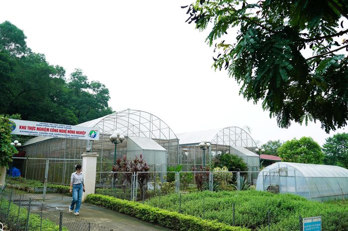 Khu thực nghiệm công nghệ nông nghiệp của UET.