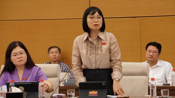 ĐBQH Nguyễn Thị Việt Nga, Phó trưởng Đoàn đại biểu Quốc hội thành phố Hải Phòng nêu câu hỏi đối với Bộ trưởng Hoàng Minh Sơn. Ảnh: Văn Duẩn.