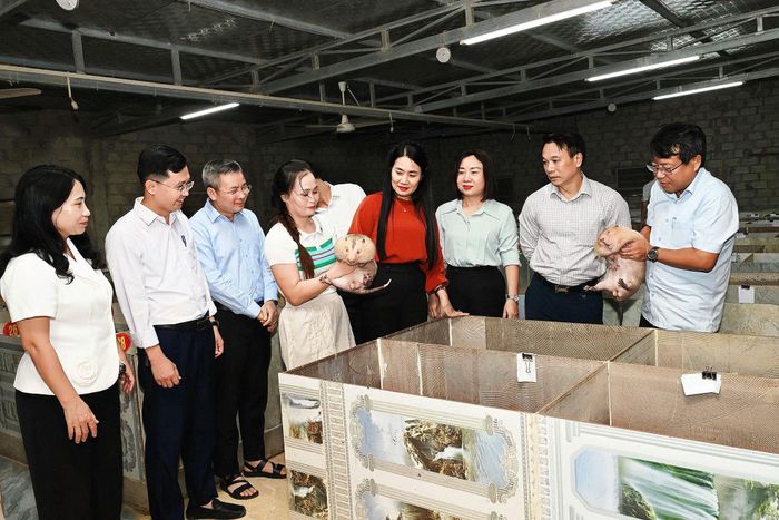 Phó Chủ tịch Thường trực HĐND tỉnh Hà Tĩnh Dương Tất Thắng cùng các đại biểu khảo sát mô hình nuôi dúi má đào. Ảnh: Xuân Hoa