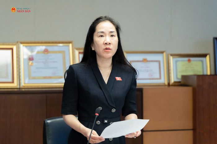Phó Chủ nhiệm Ủy ban Kinh tế và Tài chính Đoàn Thị Thanh Mai phát biểu tại cuộc họp thẩm tra sơ bộ dự án Luật Giao dịch hàng hóa phái sinh. Ảnh: Hồ Long