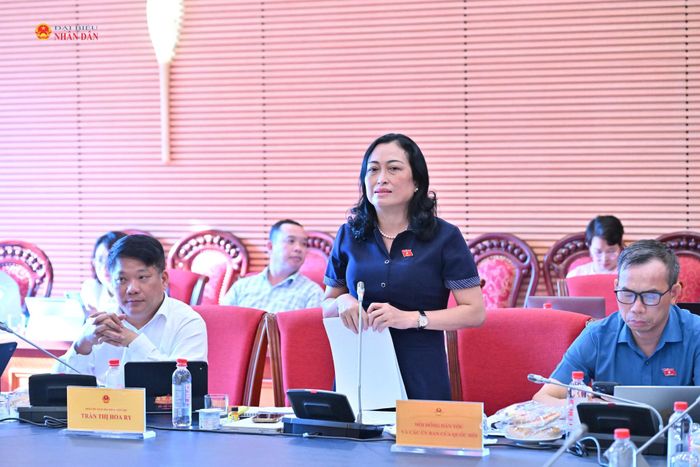 Phó Chủ tịch Hội đồng Dân tộc Trần Thị Hoa Ry phát biểu tại phiên họp