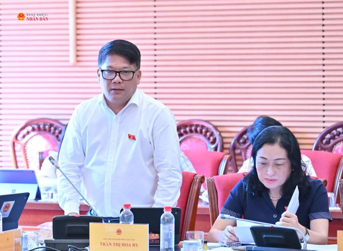 ĐBQH hoạt động chuyên trách tại Ủy ban Văn hóa và Xã hội Phạm Trọng Cường đề nghị cân nhắc một số nguyên tắc phát triển công nghiệp văn hóa