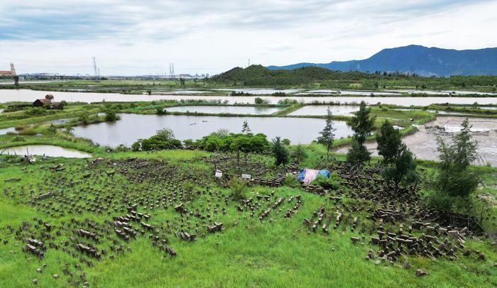 Vật tư thiết bị không sử dụng gây lãng phí đầu tư; cùng với đó khu vực dự án bị bỏ hoang nhiều năm, người dân lấn chiếm, đào đắp tạo các ao hồ nuôi trồng thủy sản làm tăng chi phí GPMB.