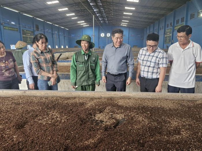 Giám đốc Trung tâm Khuyến nông quốc gia Lê Quốc Thanh thăm khu Chăn nuôi bò vàng tại Tổ hợp Nông nghiệp 4F Quế Lâm.