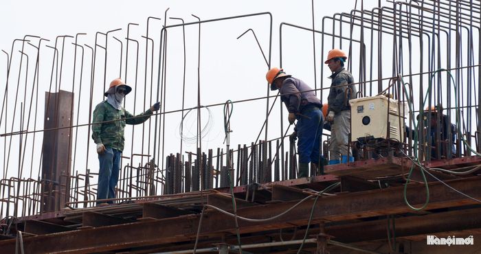 Những hạng mục chính của cầu đang được các nhà thầu khẩn trương hoàn thiện, trong đó tập trung vào phần mặt cầu, đường dẫn và các công trình phụ trợ.