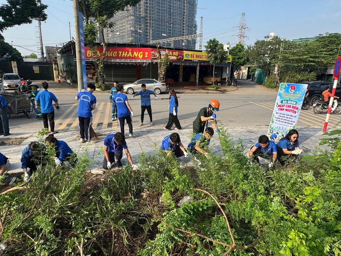 Tuổi trẻ Hoàng Liệt sẽ xung kích đảm nhận việc duy trì, hướng tới phủ xanh bằng cây và hoa. Ảnh: TA
