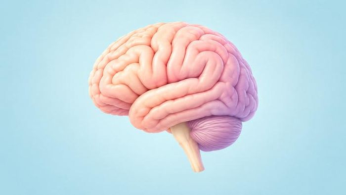 Tiêm “bổ não” cho người cao tuổi tiềm ẩn nhiều rủi ro. Ảnh minh họa AI.
