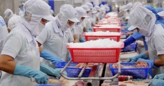 Thủy sản là một trong những mặt hàng xuất khẩu sang Singapore đạt kim ngạch đáng kể