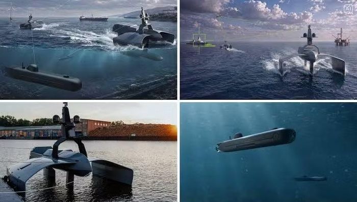 Công ty Quantum Systems của Đức đã giới thiệu các phương tiện không người lái hàng hải Seavex và Subvex, được thiết kế cho mục đích trinh sát, giám sát, bảo vệ cơ sở hạ tầng trọng yếu, cũng như tiến hành hoạt động chống lại các loại USV và UUV khác.