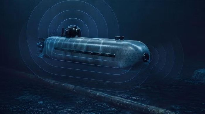 Seavex và Subvex khi kết hợp sẽ mở rộng khả năng trinh sát từ mặt nước đến dưới biển sâu và có thể sử dụng cho nhiệm vụ như bảo vệ cơ sở hạ tầng hàng hải trọng yếu, an ninh biên giới biển, giám sát chống tàu ngầm cũng như kiểm soát vùng biển khơi.