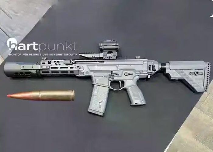 Trong quá trình mua sắm, Quân đội Đức yêu cầu một loại vũ khí tự động có khả năng sử dụng đạn siêu âm và cận âm để tấn công các mục tiêu không mặc giáp và được bảo vệ ở tầm bắn lên đến 200 m.