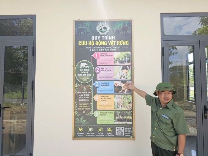 Quy trình cứu hộ động vật hoang dã