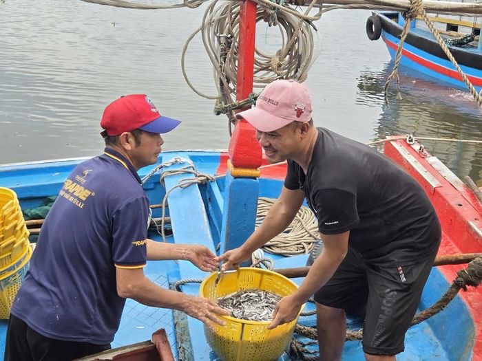 Cá cơm được đưa lên bờ ngay sau khi tàu cập cảng