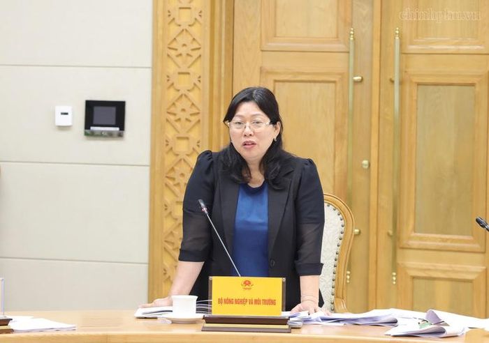 Thứ trưởng Bộ Nông nghiệp và Môi trường Nguyễn Thị Phương Hoa báo cáo tại cuộc họp - Ảnh: chinhphu.vn/Gia Huy