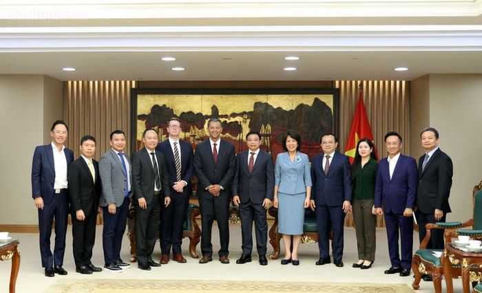 Phó Thủ tướng Nguyễn Văn Thắng tiếp ông Linh Austin, Chủ tịch kiêm Giám đốc điều hành của Công ty R3 Lithium - Ảnh chinhphu.vn/Đức Tuân