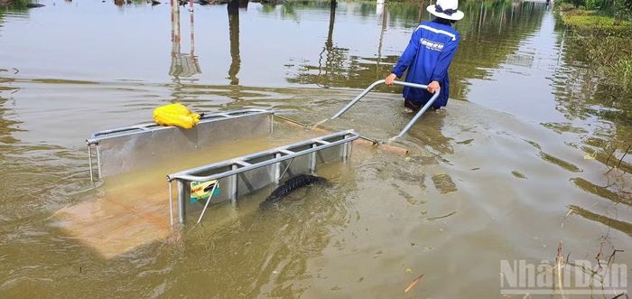 Chị N.T.H., người túc trực kéo xe tại khu vực ngập.