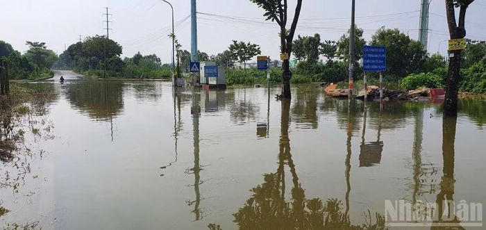 Nước sông Tích dâng cao gây ngập nhiều đoạn đường gom Đại lộ Thăng Long qua xã Hữu Bằng, Hà Nội.