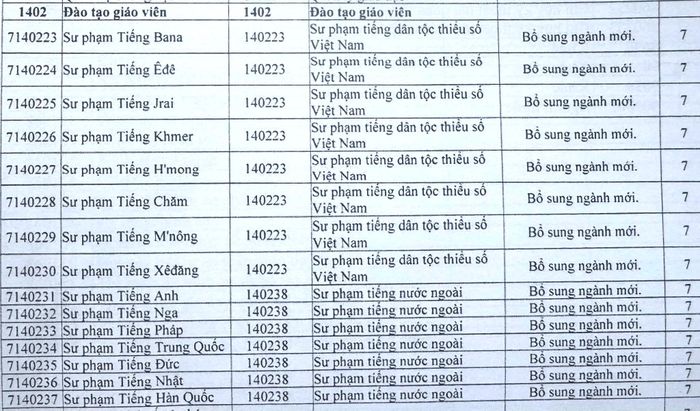 Nhiều ngành sư phạm sẽ được đổi tên và dùng chung một mã ngành - Ảnh: THANH HÙNG