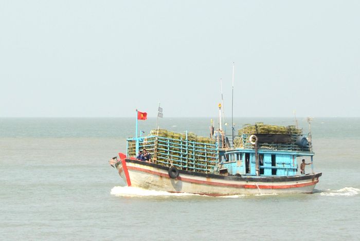  100% tàu cá đã được cập nhật đầy đủ thông tin vào Cơ sở dữ liệu nghề cá quốc gia (VNFishbase). Ảnh: THÀNH HUY 