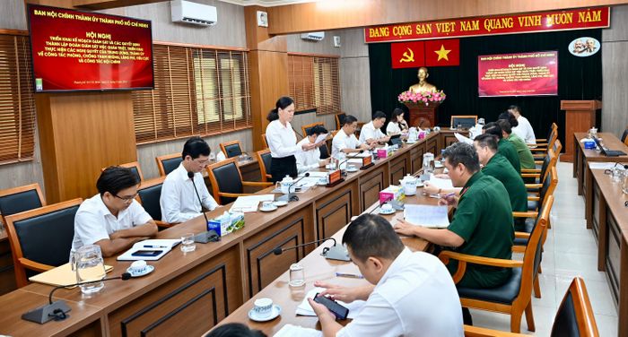  Phó Trưởng Ban Nội chính Thành ủy TPHCM Trần Thị Bạch Huệ công bố quyết định thành lập đoàn giám sát. Ảnh: VĂN MINH 