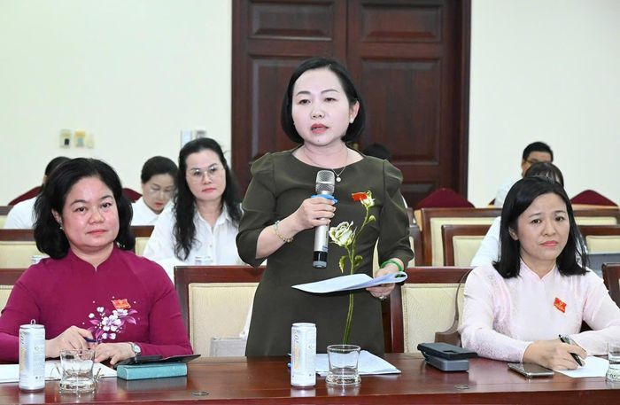 Đại biểu nêu ý kiến thảo luận. Ảnh: VIỆT DŨNG