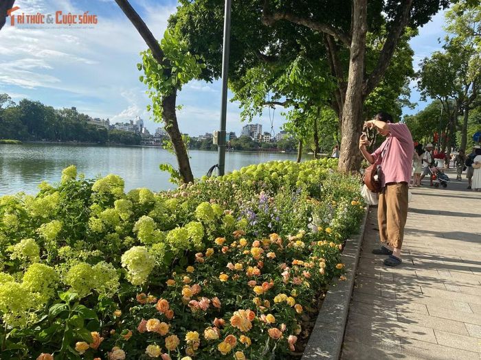 Nhiều bạn trẻ tranh thủ thời tiết tạnh ráo, tranh thủ đến check-in bên thảm hoa cẩm tú cầu bừng nở dưới ánh nắng thu vàng rực.