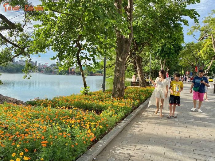 Dòng người thong thả dạo bước thưởng ngoạn mùa hoa mới, tạo nên bức tranh thu Hà Nội vừa cổ kính vừa căng tràn sức sống hiện đại.
