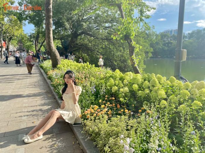 Dải hoa cẩm tú cầu mang sắc xanh cốm non - xanh matcha dịu mát trải dài ven bờ hồ Gươm, nổi bật trên nền nước trong xanh và Tháp Rùa phía xa.