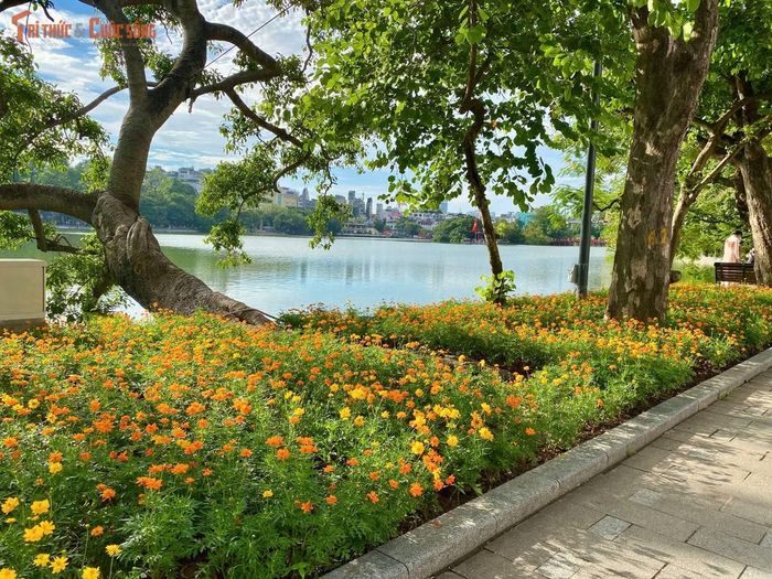 Bên cạnh hồ Gươm, nhiều bạn trẻ đã chọn tận hưởng một ngày cuối tuần ở nhiều địa điểm khác như nhà thờ Lớn, phố Hàng Mã.