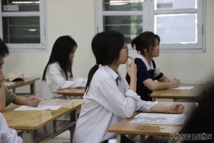 Chứng chỉ vẫn có thể được sử dụng để chứng minh yêu cầu đầu vào của chương trình đào tạo bằng ngoại ngữ. Điều dự thảo hướng tới chấm dứt là điểm cộng nằm ngoài thang đánh giá, nhất là khi ngoại ngữ không thuộc yêu cầu đầu vào hoặc đã được ghi nhận trong tổ hợp.
