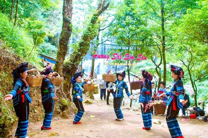 Phát triển dược liệu gắn với du lịch cộng đồng góp phần tạo thêm sinh kế và quảng bá bản sắc văn hóa các dân tộc Lào Cai. (Ảnh: Nguyễn Hải)