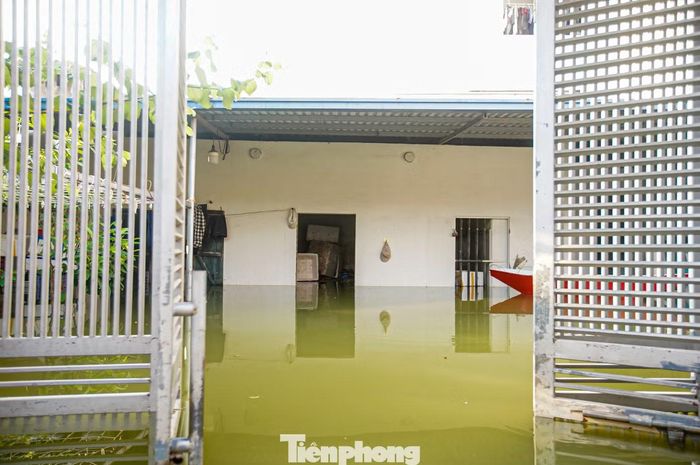 Theo thống kê của địa phương, lũ sông Bùi ảnh hưởng đến 298 hộ với 1.230 người tại xã Trần Phú. Trong đó, 145 hộ với 580 người phải di dời, tập trung tại các khu vực Khôn Duy, Mỹ Tiến và Hoàng Văn Thụ.