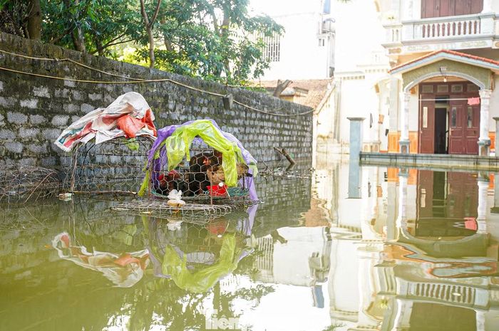 Khoảng 4.060 m đê, bờ bao và 3.100 m đường giao thông bị ngập, tràn. Tại một số khu vực, mực nước vẫn sâu hơn 1,5 m; những vị trí gần sông có nơi ngập gần 2 m.