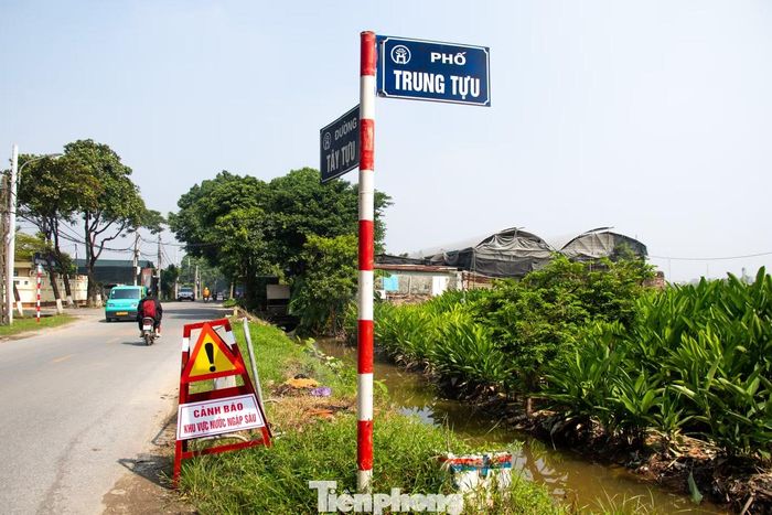 Do ảnh hưởng của đợt mưa lớn, làng hoa Tây Tựu (Hà Nội) bị ngập lụt kéo dài khiến hàng trăm hecta ruộng hoa mất trắng, người dân thiệt hại nặng nề chưa từng thấy.