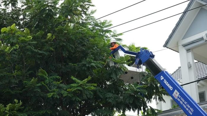 CTĐL Đất Đỏ phát quang cây xanh có nguy cơ ảnh hưởng hành lang lưới điện, phòng ngừa sự cố khi xảy ra mưa lớn, giông lốc.