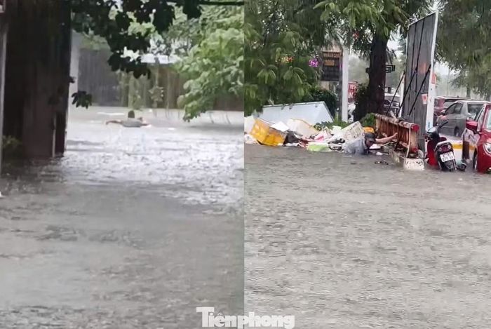 Hình ảnh anh Nguyễn Ngọc Huyền - Khối trưởng khối 1 Hưng Bình, phường Thành Vinh ngâm mình khơi cống thoát nước ngày 19/9.