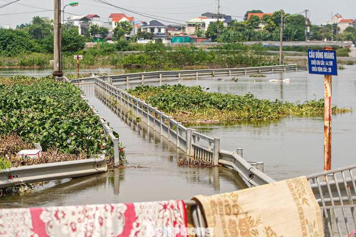 Tính đến ngày 21/9, nước tiếp tục rút trên sông Đáy ở phía Tây Nam Hà Nội. Một số cầu dân sinh bị nhấn chìm trong nước lũ nay đã thấy lan can. Tại khu vực cầu Đồng Hoàng (ảnh) bắc qua sông Đáy, người dân chưa thể lưu thông.