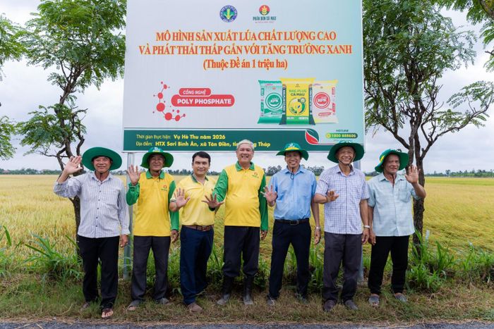 Ông Lê Văn Chấn - Phó Chi cục trưởng Chi cục Trồng trọt và Bảo vệ thực vật tỉnh Đồng Tháp tham dự tổng kết mô hình.
