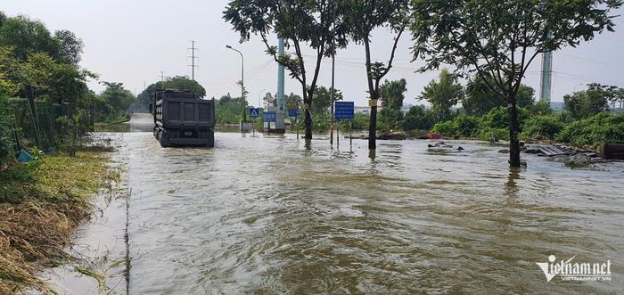 Các ô tô nối đuôi nhau qua vùng ngập, sóng đánh dạt cả cây cỏ bên đường