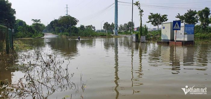 Nhiều người bất đắc dĩ bơi qua vùng ngập